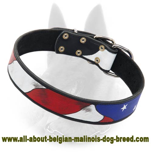 Amazing Patriotic American Flag Dog Collar For Belgian Malinois