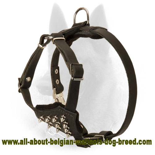 Spiked Leather Dog Harness for Belgian Malinois Puppies