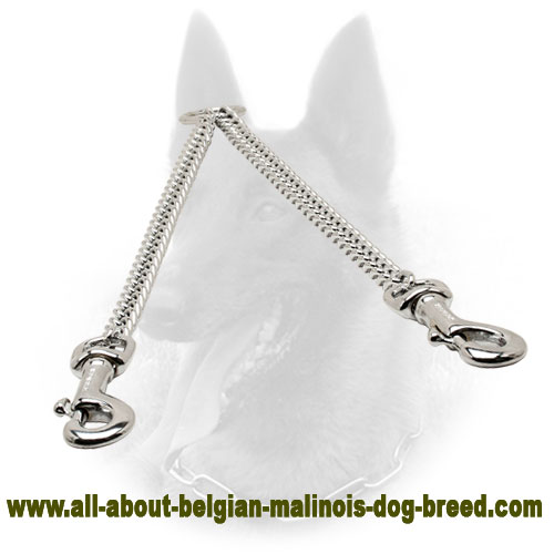 Chrome Plated Belgian Malinois Coupler for Walking 2 Dogs