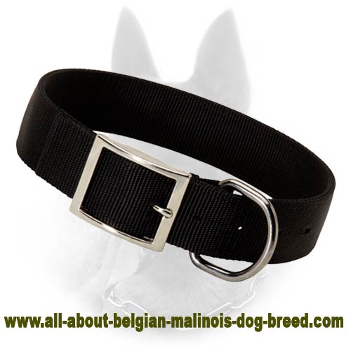 Black Stylish Nylon Collar for Belgian Malinois - Click Image to Close