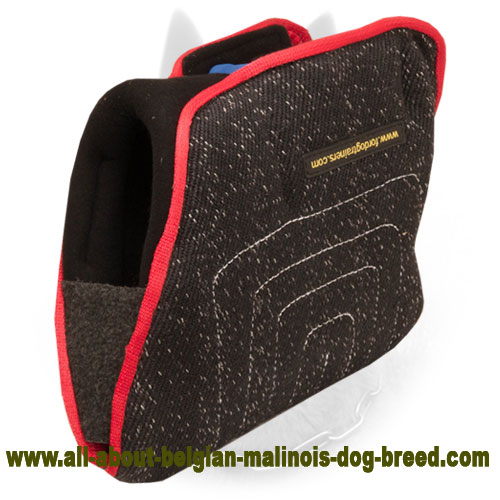 New Belgian Malinois Bite Developer for Young Dogs