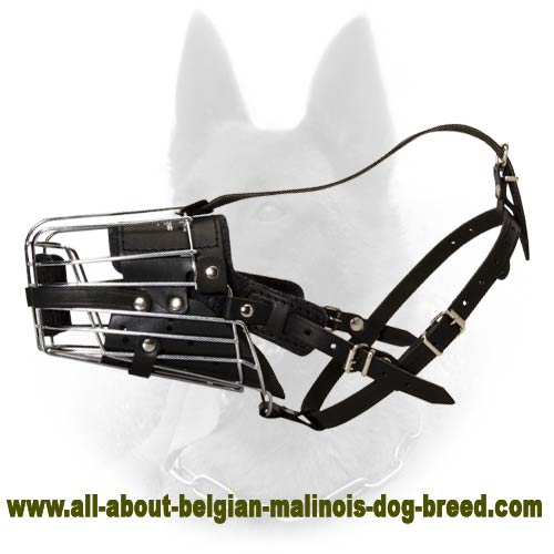 'No Mash' Basket Wire Dog Muzzle Perfect for Belgian Malinois