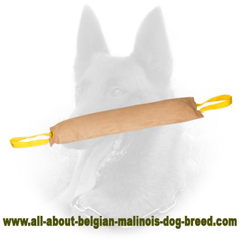 Huge Leather Belgian Malinois Bite Tug
