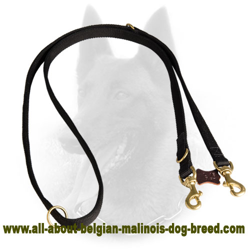 Any Weather Belgian Malinois Nylon Leash