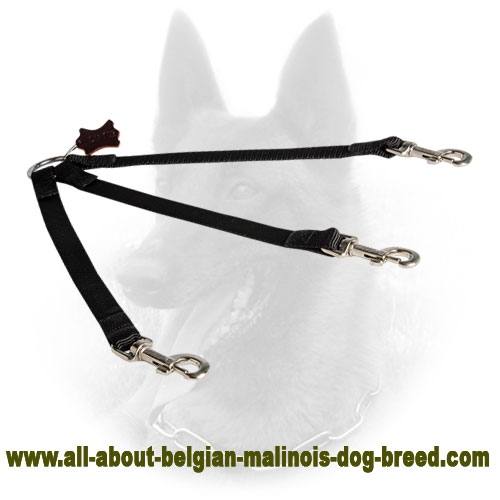 Nylon Belgian Malinois Leash for Walking with 3 Dogs