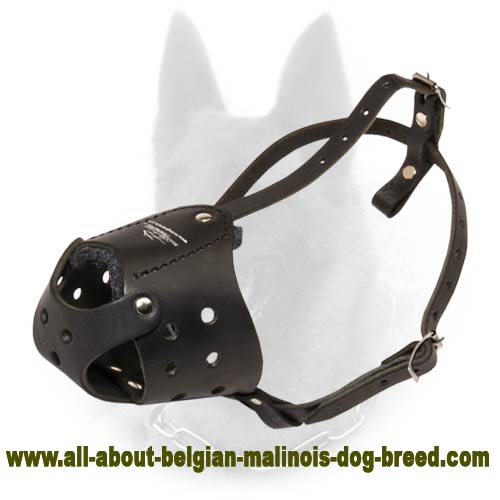 Lite No-Barking/Biting Leather Felt Padded Belgian Malinois Muzzle
