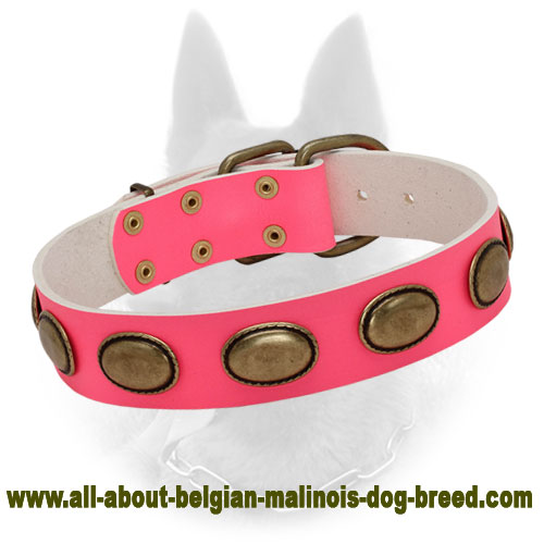 female dog leashes