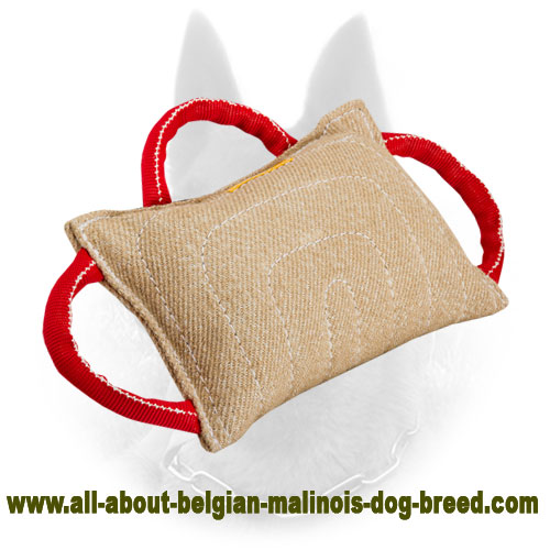Jute Belgian Malinois Bite Pillow