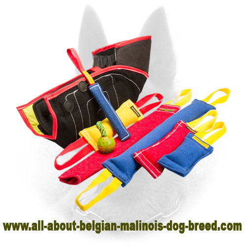 Best Chew Toys For Belgian Malinois ToyWalls