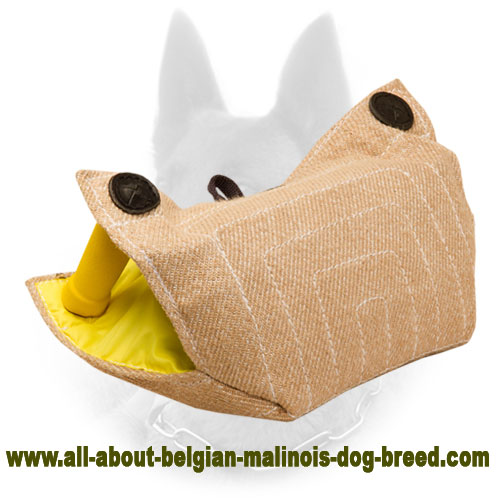Superable Belgian Malinois Bite Developer for Safe Training
