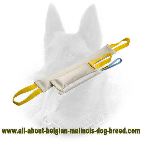 Fire Hose Belgian Malinois Bite Tugs Set for Training