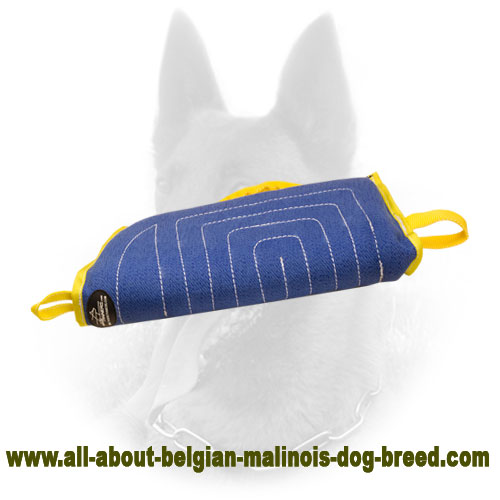 French Linen Belgian Malinois Bite Sleeve