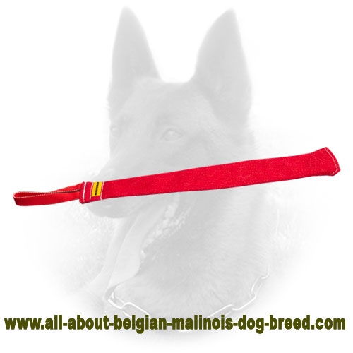 Prey Drive Belgian Malinois Bite Rag for Young Dogs