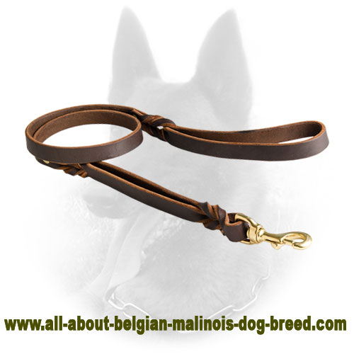 Leather Belgian Malinois Leash with Double Handle