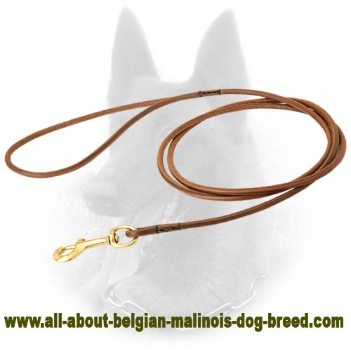 Exquisite Belgian Malinois Leather Leash for Dog Show