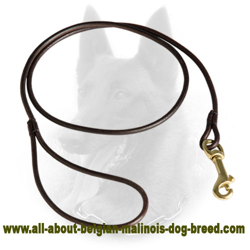 Perfect Belgian Malinois Leather Leash for Dog Show Performing