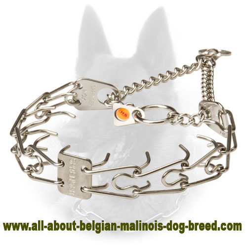 Stainless Steel Belgian Malinois Pinch Prong Collar - 50135 010 (55) - 1/11 inch (2.25mm)
