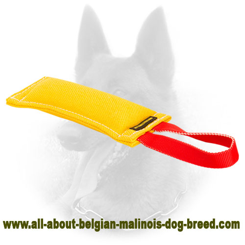 Functional Belgian Malinois Bite Tug of French Linen