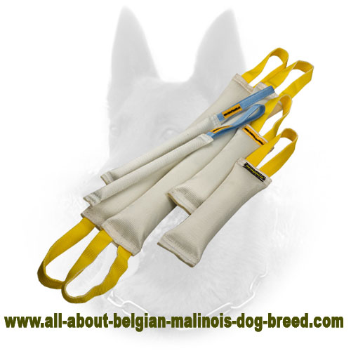 Training Belgian Malinois Bite Tugs Set for Retrieve Training