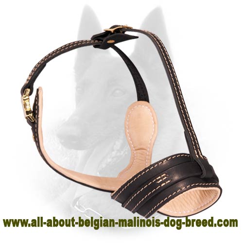High-Q No Barking Leather Belgian Malinois Muzzle