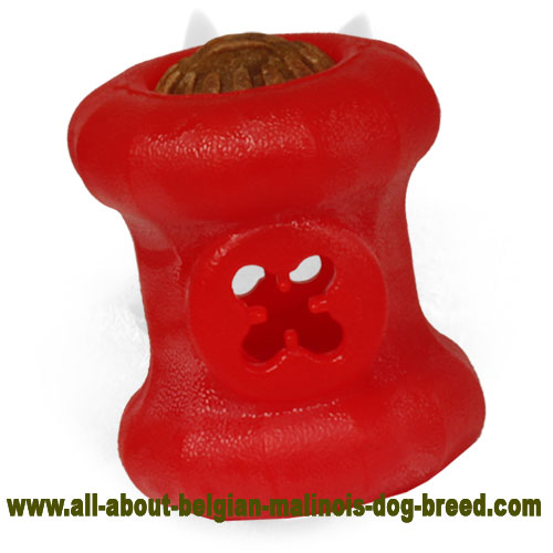 Kibble Holder - Chewing Belgian Malinois 【Toy】 'Yammy Bobbin' for  Medium-Size Dogs : Belgian Malinois Breed: Dog Harness, Belgian Malinois dog  muzzle, Belgian Malinois dog collar, Dog leash