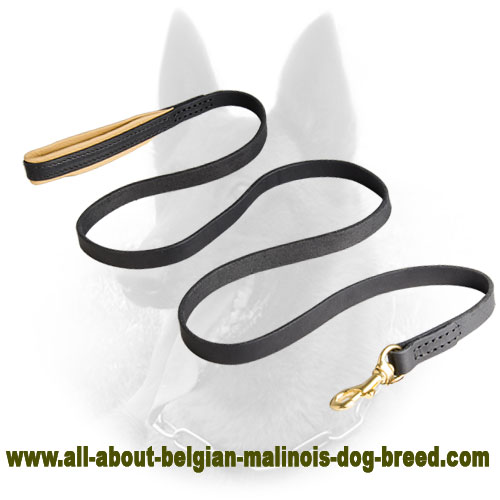 Extremely Opportune Leather Belgian Malinois Leash with Support Material on the Handle