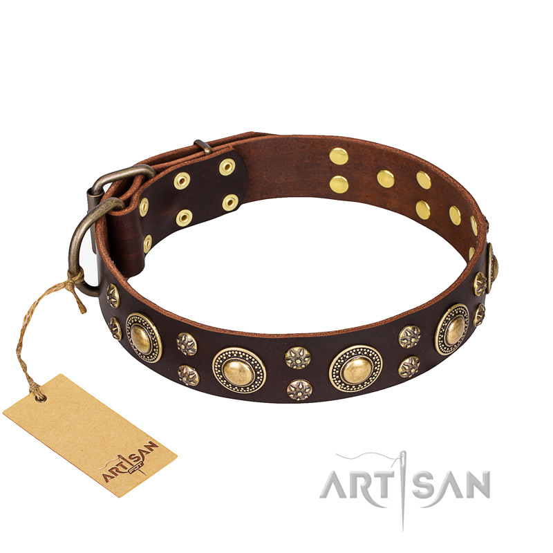 'Flower Melody' FDT Artisan Belgian Malinois Brown Leather Dog Collar with Mixed Studs