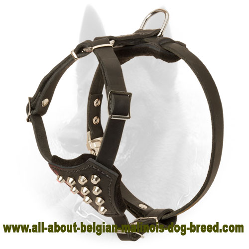Classy Belgian Malinois Harness with Stud Decoration for Puppies