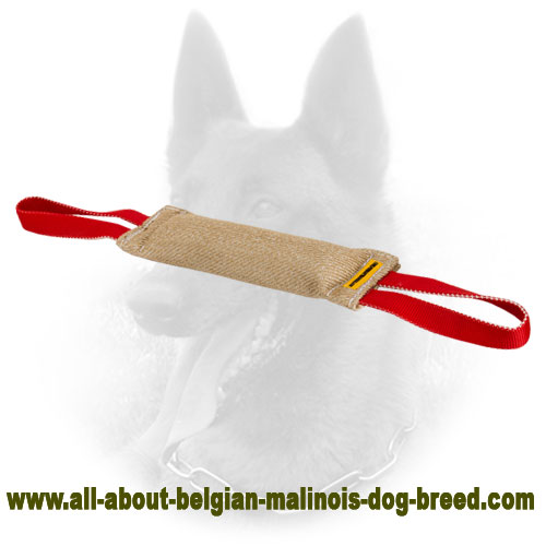 Durable Belgian Malinois Bite Tug of Natural Jute - Click Image to Close