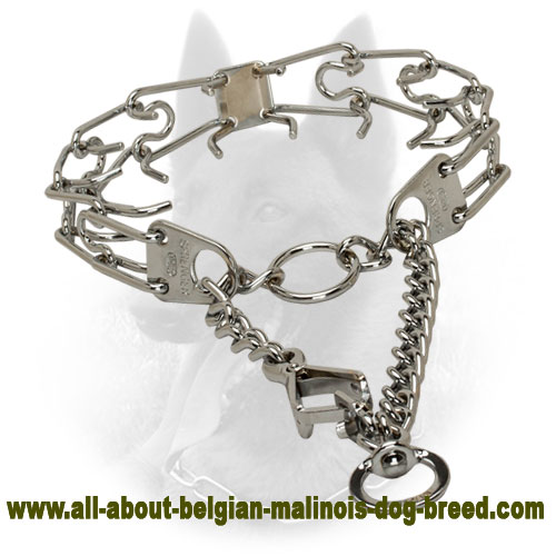 Belgian Malinois Pinch Prong Collar of Chrome Plated Steel - 1/11 inch (2.25mm)