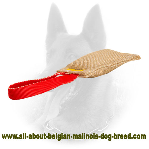 Jute Puppy Belgian Malinois Bite Tug