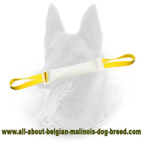 Fire Hose Belgian Malinois Bite Tug With Nylon Handles