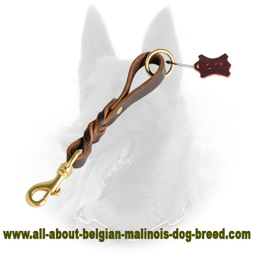 Short Belgian Malinois Leather Leash with Braided Decoration