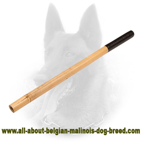 Dog Training Bamboo Stick, Agitation Stick