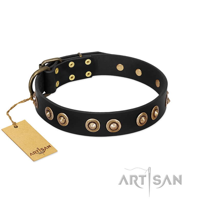 "Golden Artifact" FDT Artisan Black Leather Belgian Malinois Collar with Old-bronze Covered Medallions