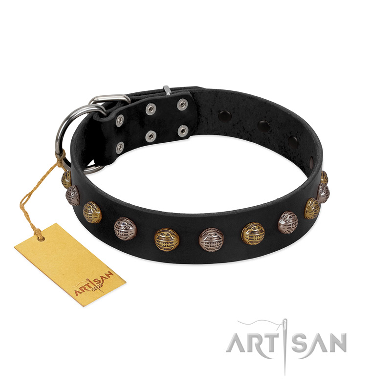 "Inky Prettification" FDT Artisan Black Leather Belgian Malinois Collar with One Row of Studs