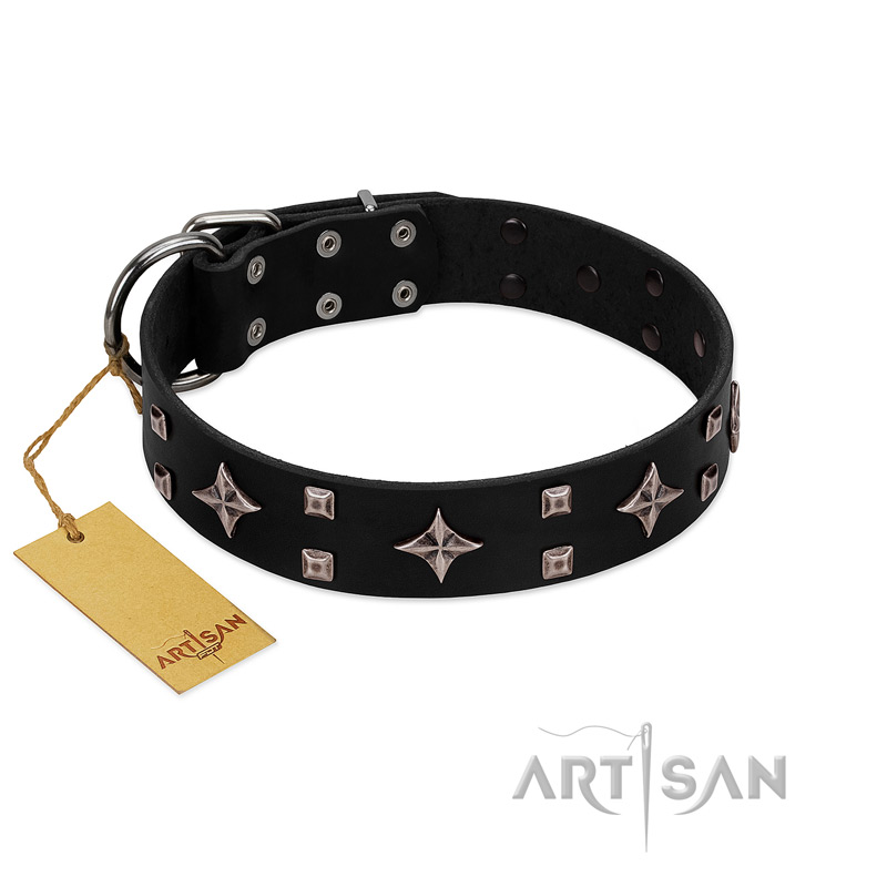 "Snappy Dresser" FDT Artisan Black Leather Belgian Malinois Collar Adorned with Stars and Tiny Squares