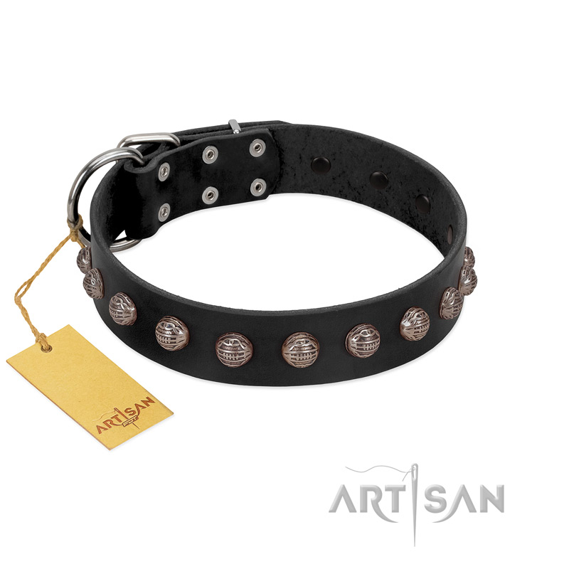 "Bizarre Affection" Designer Handmade FDT Artisan Black Leather Belgian Malinois Collar