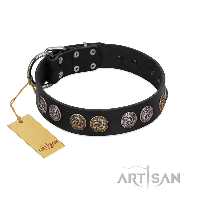 "Mister Exclusive" Designer FDT Artisan Black Leather Belgian Malinois Collar with Medallions