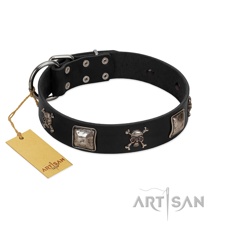 "Sea Rover" Embellished FDT Artisan Black Leather Belgian Malinois Collar with Chrome Plated Crossbones and Plates