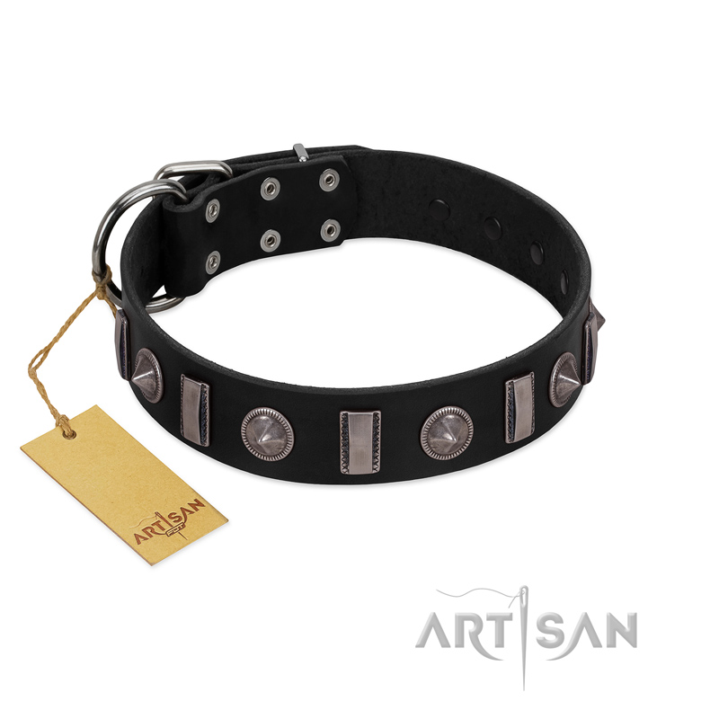 "Silver Spikes" Exclusive FDT Artisan Black Leather Belgian Malinois Collar