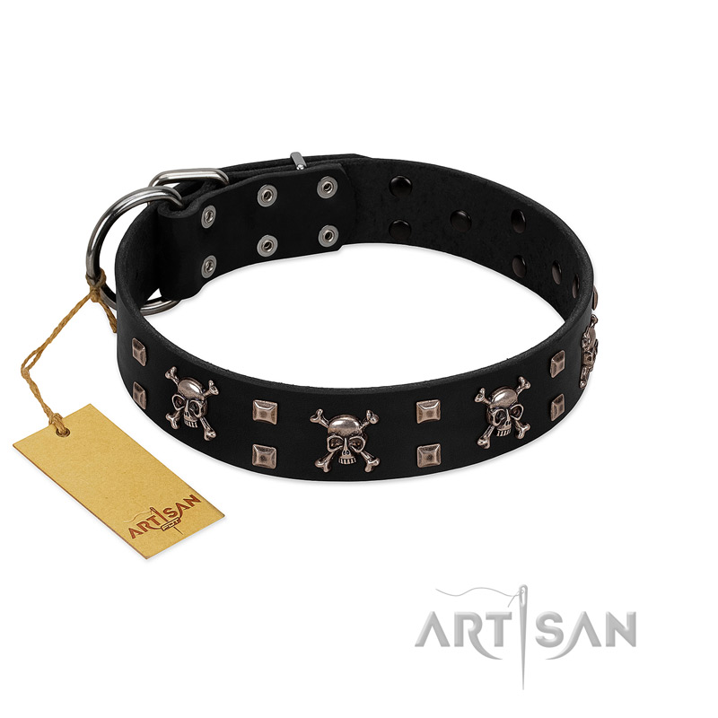 "Black Jack" Stylish Handmade FDT Artisan Black Leather Belgian Malinois Collar