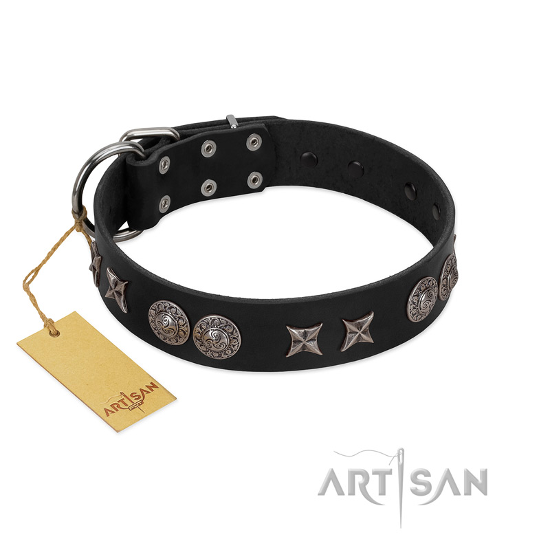 "Scythian Silver" Stylish Handmade FDT Artisan Black Leather Belgian Malinois Collar