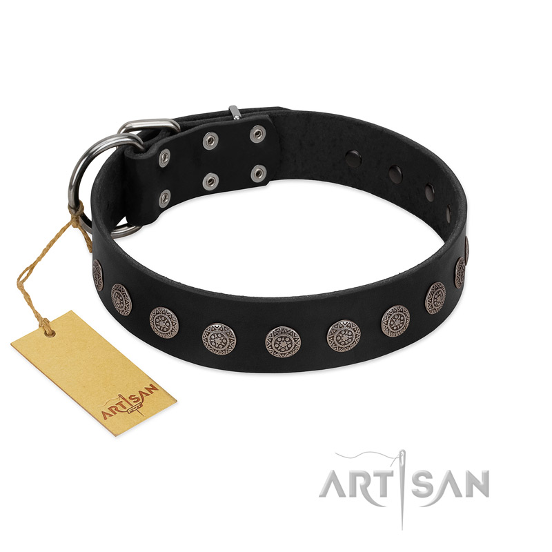 "Silent Star" Handmade FDT Artisan Designer Black Leather Belgian Malinois Collar with Engraved Plates