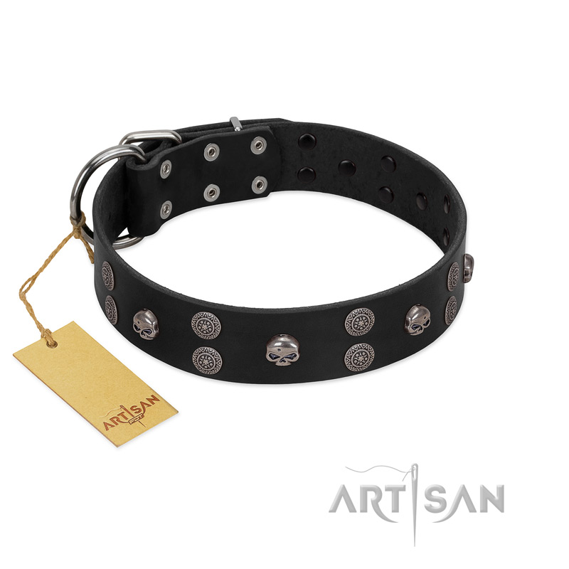 "Skull Art" Designer Handmade FDT Artisan Black Leather Belgian Malinois Collar with Skulls