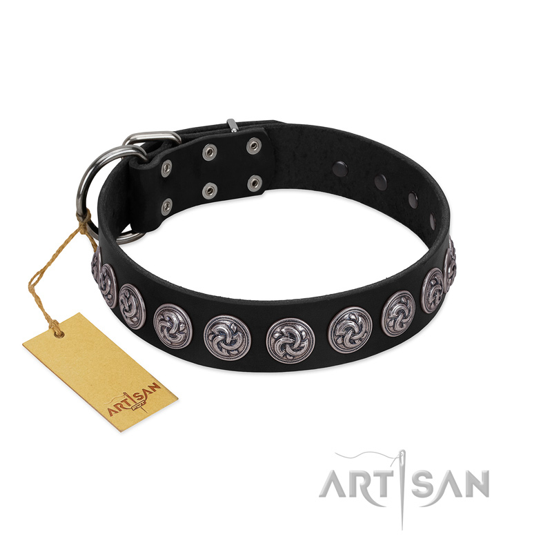 "Black Raven" Handmade FDT Artisan Black Leather Belgian Malinois Collar with Silver-Like Adornments