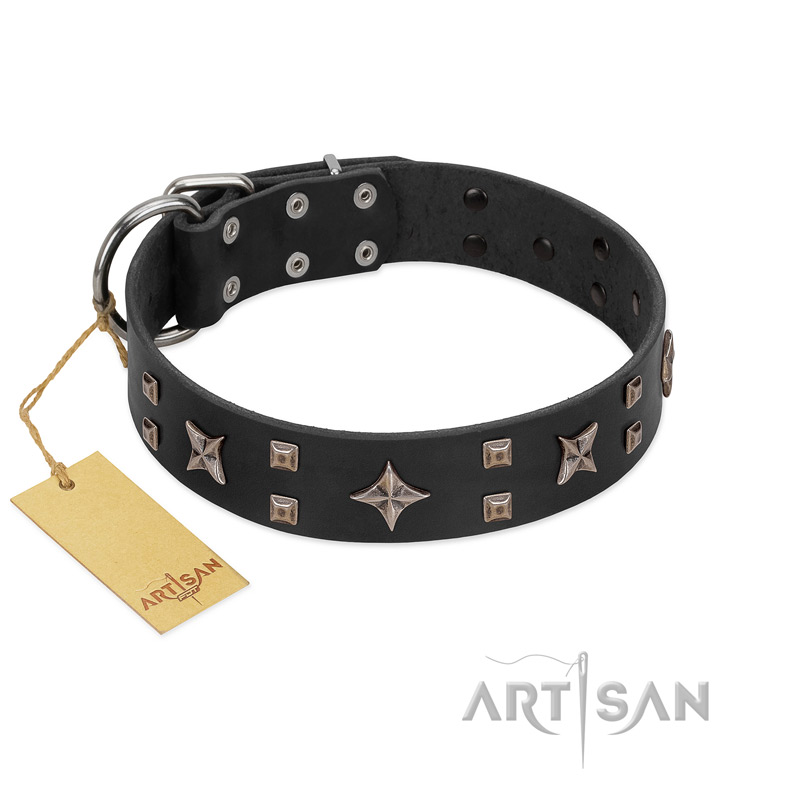 "Star Excitement" Modern FDT Artisan Black Leather Belgian Malinois Collar with Studs and Stars