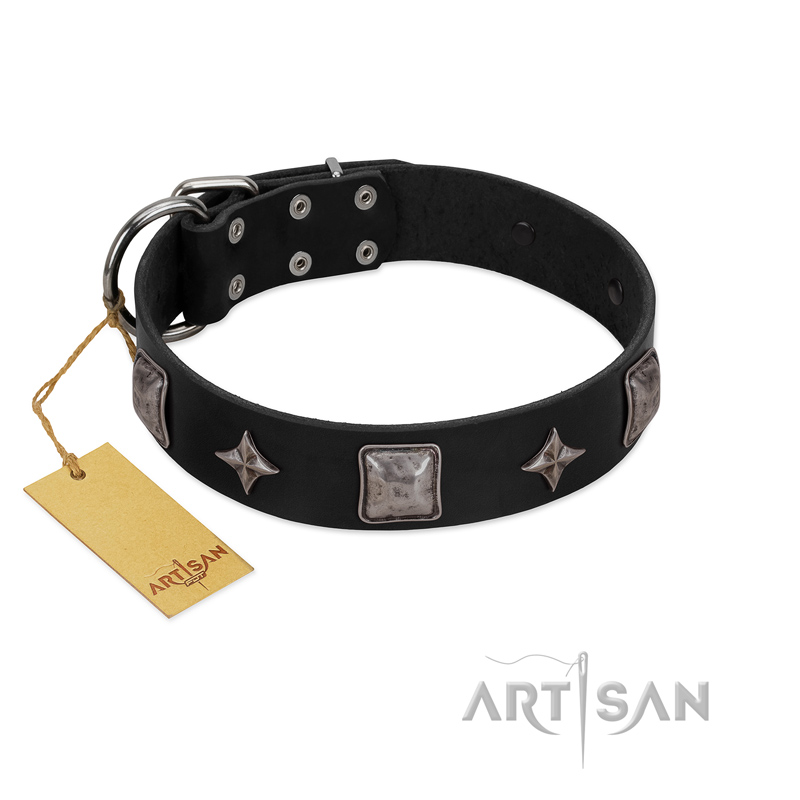 "Black Cavalier" Handmade FDT Artisan Black Leather Belgian Malinois Collar with Silver-Like Stars and Large Plates
