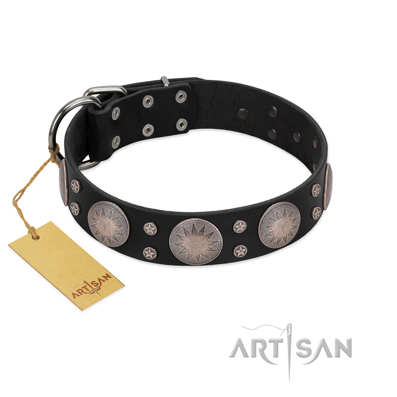 "Starry Sky" Trendy FDT Artisan Black Leather Belgian Malinois Collar with Large Brooches