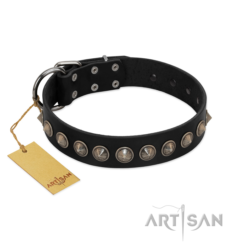 "Black Eagle" Handcrafted FDT Artisan Black Leather Belgian Malinois Collar with Silver-Like Adornments
